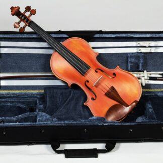 Vioara Conservatory  Karl Hoffmeister MV100