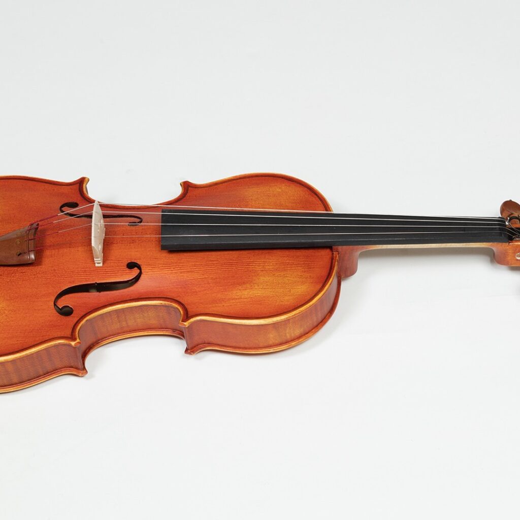 Vioara Conservatory  Karl Hoffmeister MV100 - imagine 2
