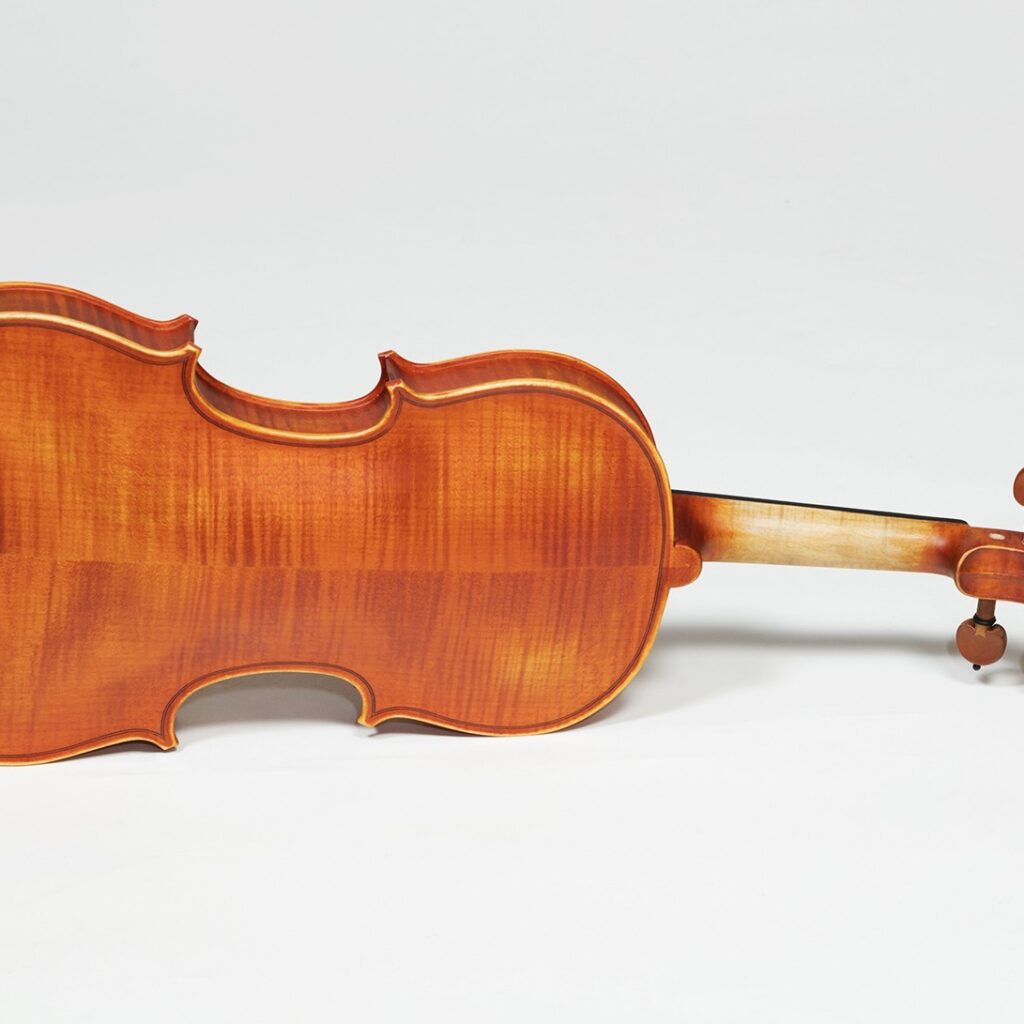 Vioara Conservatory  Karl Hoffmeister MV100 - imagine 3