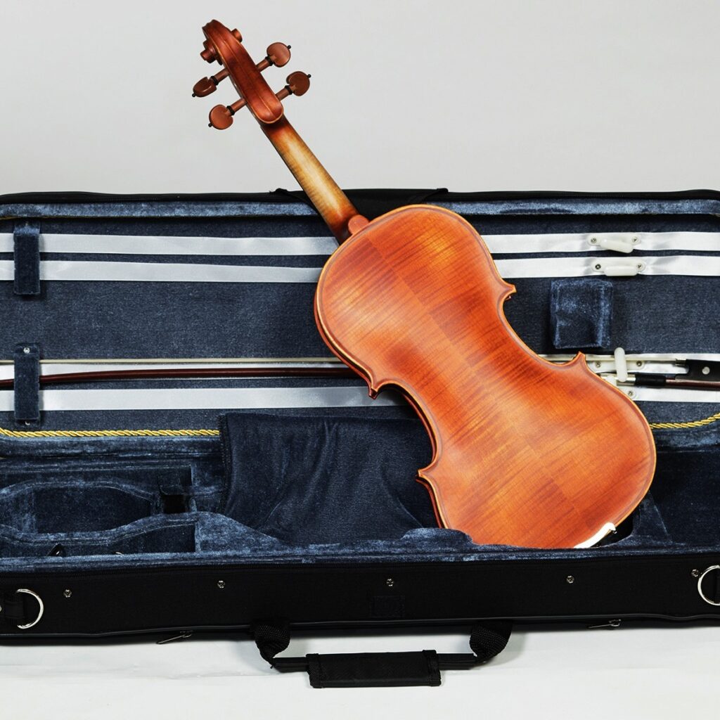 Vioara Conservatory  Karl Hoffmeister MV100 - imagine 4