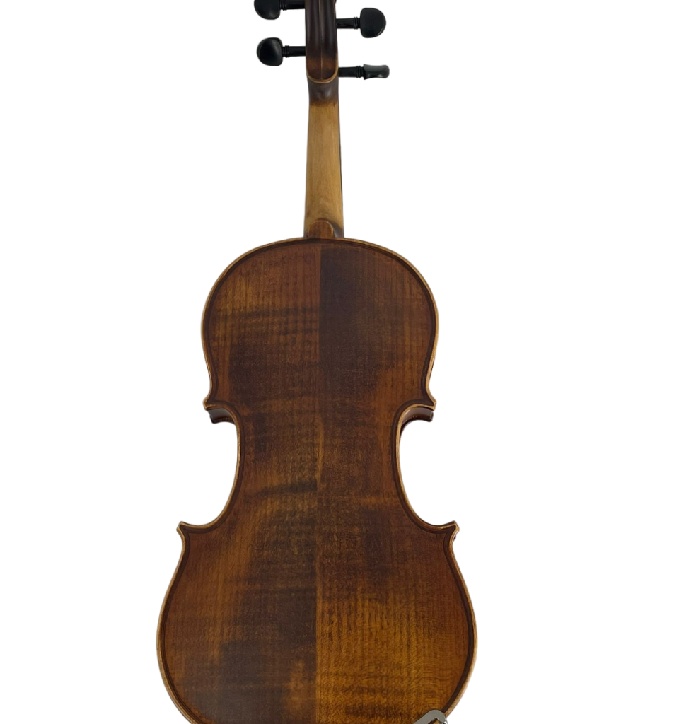Vioara Conservatory Plus Karl Hoffmeister MV101-1 - imagine 2
